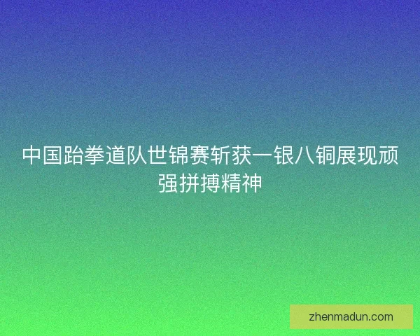 中国跆拳道队世锦赛斩获一银八铜展现顽强拼搏精神