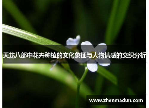 天龙八部中花卉种植的文化象征与人物情感的交织分析