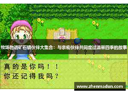 牧场物语矿石镇伙伴大集合：与亲密伙伴共同度过温馨四季的故事