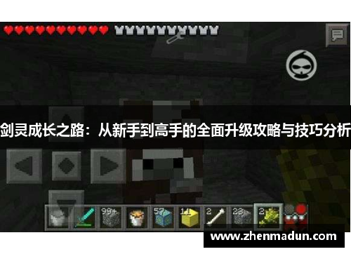 剑灵成长之路：从新手到高手的全面升级攻略与技巧分析