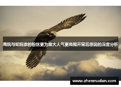 鹰院与蛇院谁的粉丝更为庞大人气更高揭开背后原因的深度分析