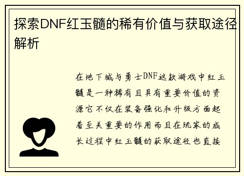 探索DNF红玉髓的稀有价值与获取途径解析
